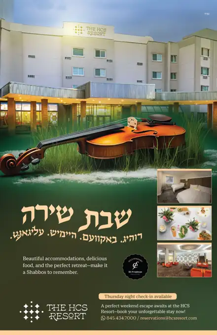 Client ad design by Sharp Design, project 25