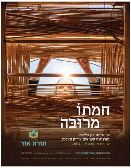 Client ad design by Sharp Design, project 68