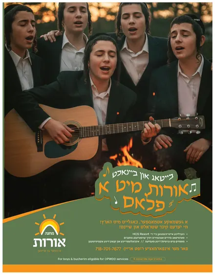 Oros camp music ad, designed by Sharp Design